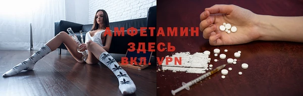 индика Абдулино