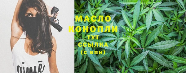 индика Абдулино