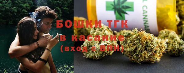 индика Абдулино
