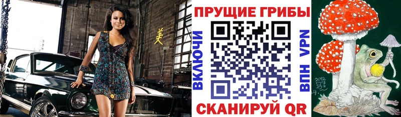 Галлюциногенные грибы мицелий  как найти наркотики  Красный Сулин 